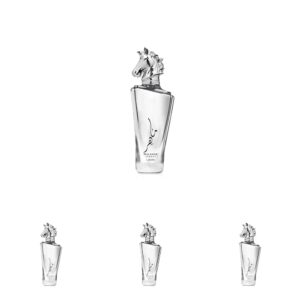 61kxvykaahl. sl1500 .jpg