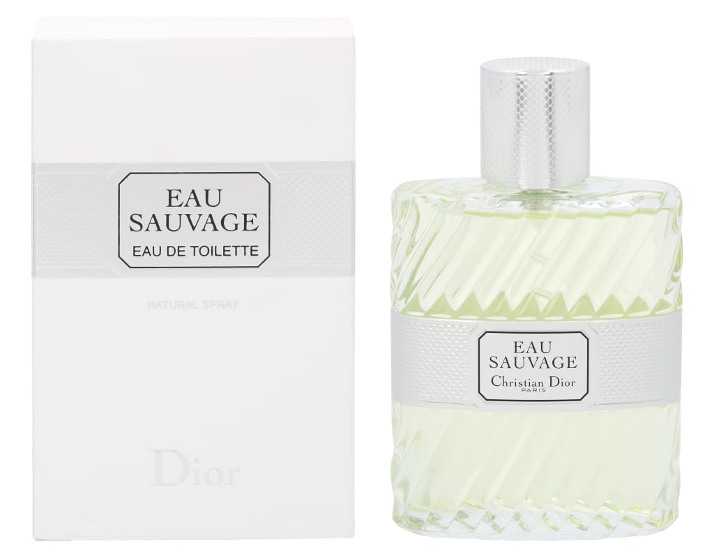 51ay q6dw8l. sl1024 .jpg