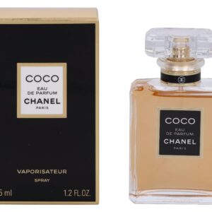 51g0r7brdcl. sl1024 .jpg