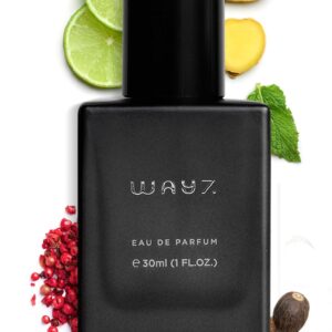 51vl2lfylrl. sl1235 .jpg