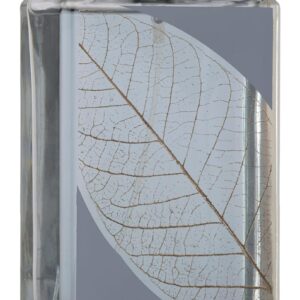 lattafa najdia intense ?c fresh, marine, woody ?c eau de parfum spray long lasting fragrance for men, 3.4 ounce / 100 ml