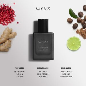 eau de parfum inspired by jadore cd's, concentrated fragrance, long lasting perfume for women & men replica cologne, paraben free, vegan perfume spray (30 ml | 1 fl. oz)