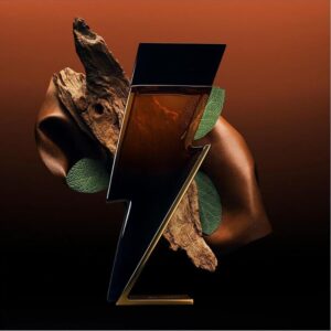 carolina herrera bad boy elixir for men 3.4 oz edp spray