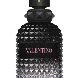 61btqgsiwel. sl1500 .jpg