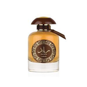 71kgnpmodrl. sl1500 .jpg