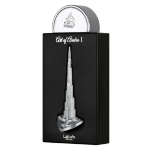 71ls8fvleil. sl1500 .jpg