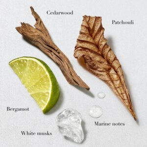 armani beauty acqua di gio after shave cologne for men long lasting fragrance with bergamot notes, jasmine, white musks, patchouli & cedarwood ?c 3.4 fl oz